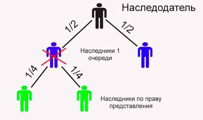 Как вступают в наследство по завещанию