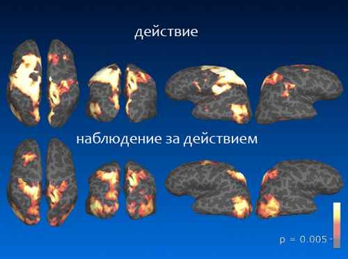 Переходит ли заикание по наследству