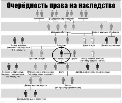 Сроки оформления наследства у нотариуса