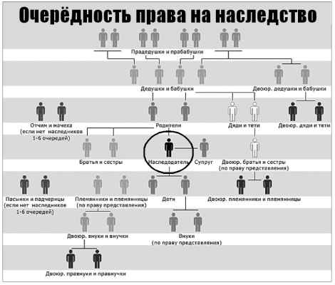 Имеют ли право на наследство внуки если есть дети